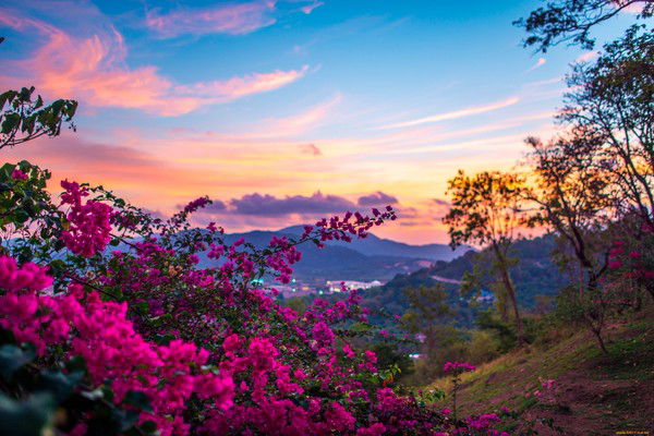 Сибирский Реестр Лажинцев