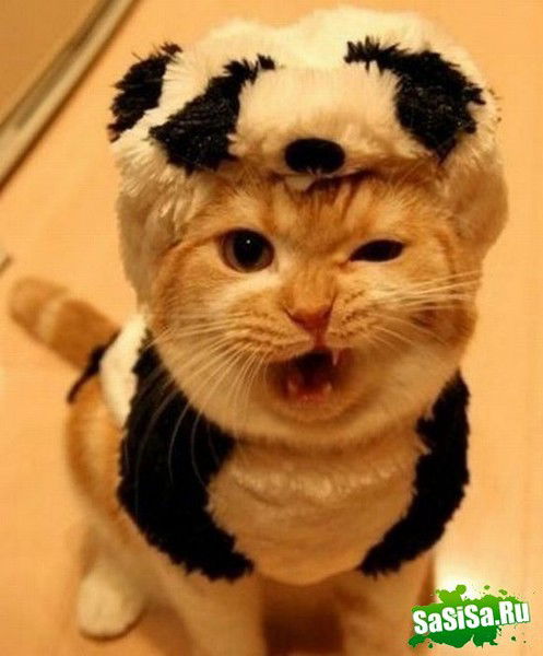 Леонид Семёнов