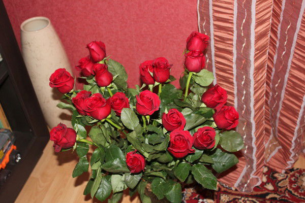 Ксения Чернова