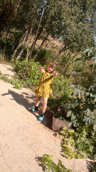 Оля Новосад