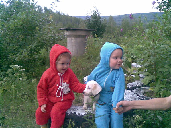 Света Гайнешевы