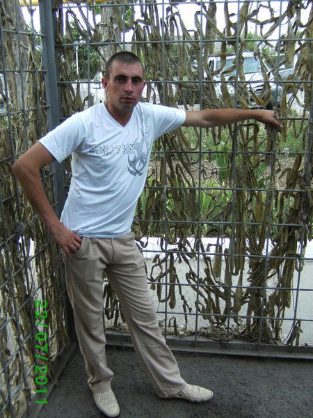 Николай Шпалерков