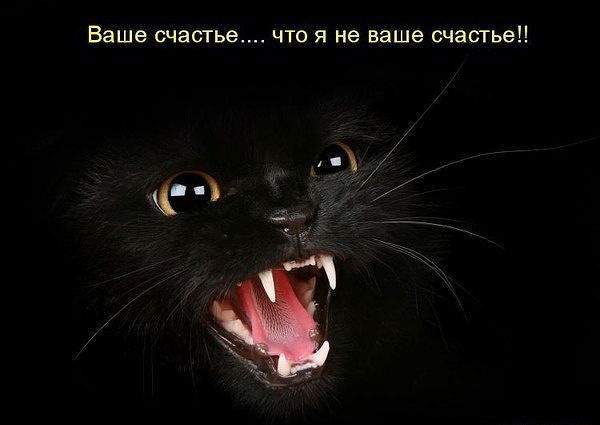 Ольга Сокова