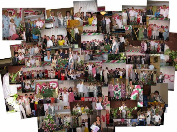 Социальный Сайт Амрита