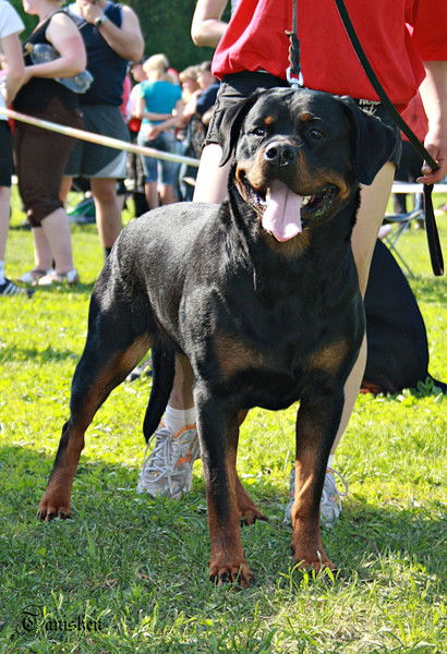 Максим Зайков