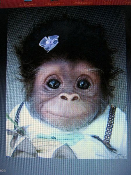 Светлана Антонова