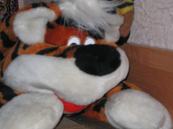 Наталья Шустова