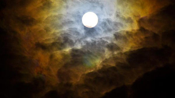 Татьяна Призенкова