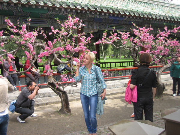 Ирина Альшанская