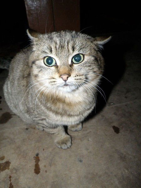 Дмитрий ########