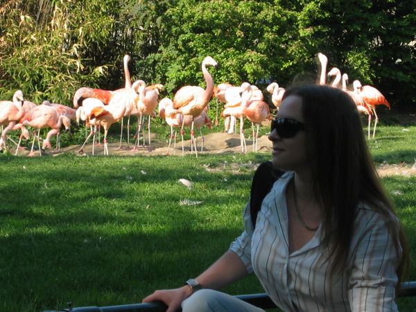 Мира Кульчицка