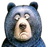 Юрий Метр