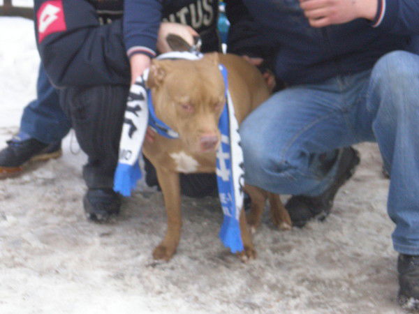 Сергей Максимов