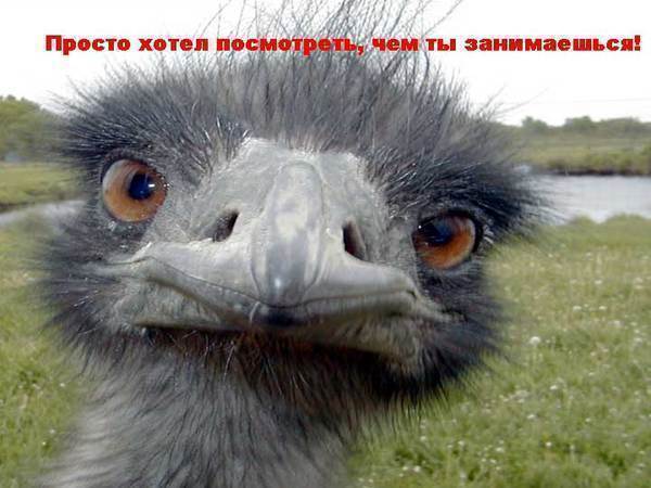 Саша Устинов