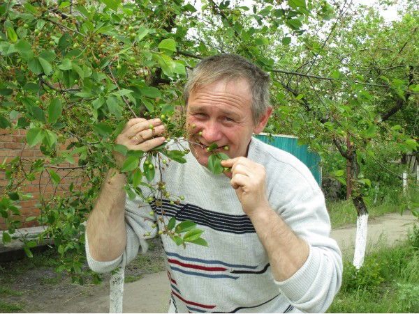 Анатолий Гриненко