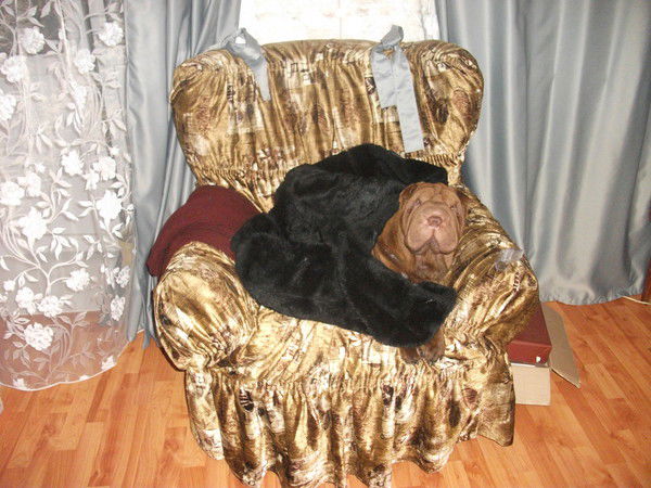 Бухтияров Дмитрий