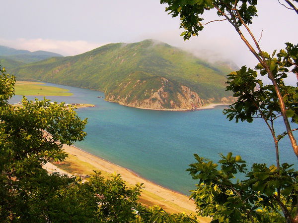 Анна Паршкова