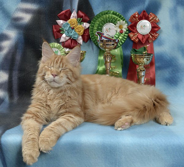 Наталья Микулина