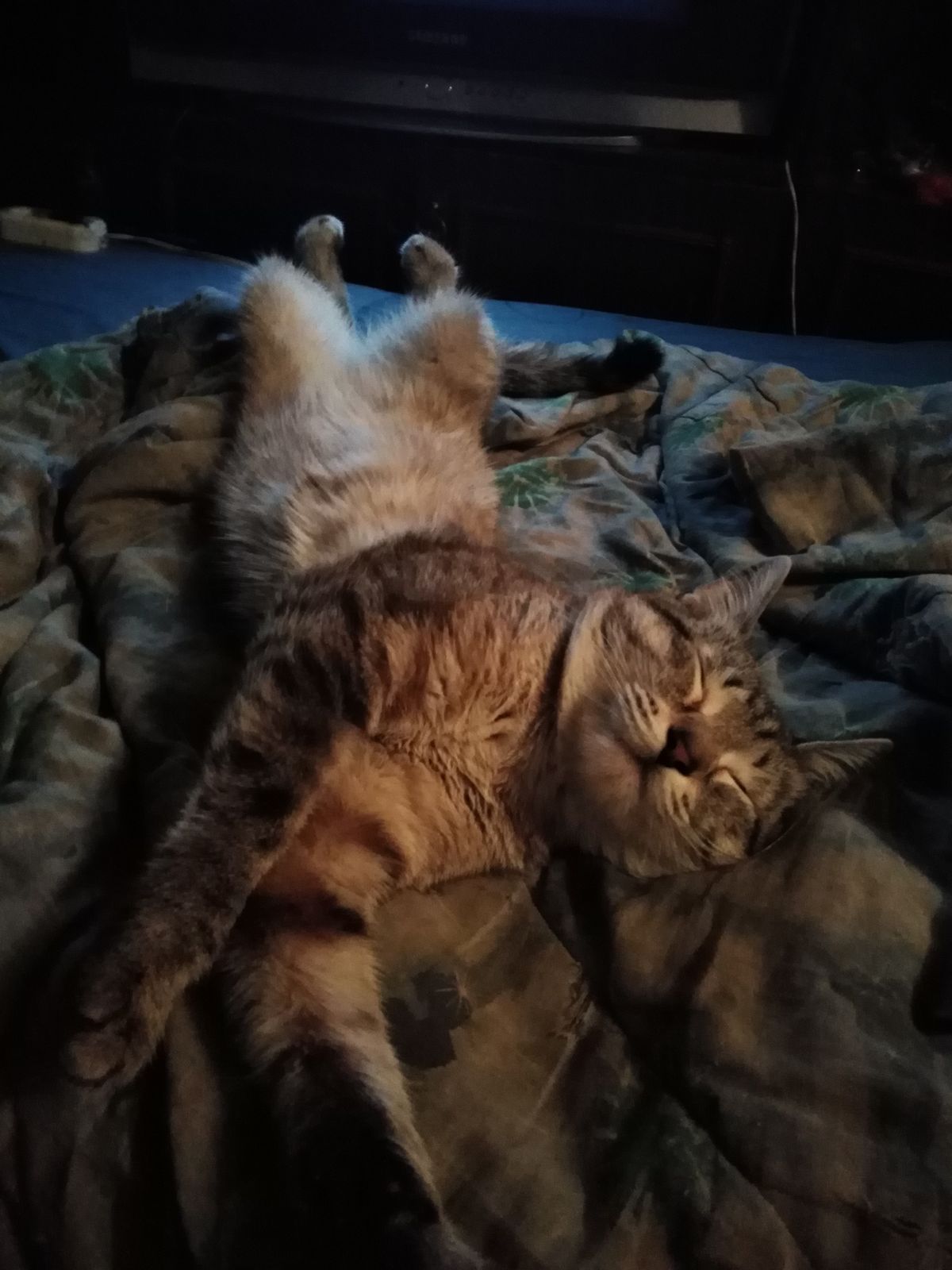 Татьяна Дегиль