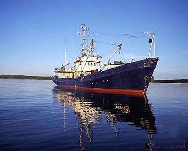 Айгуль Минуллина