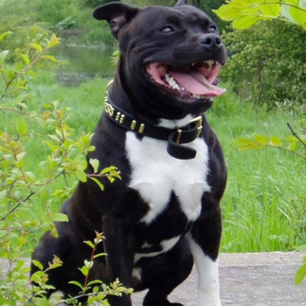 Иван Колпак