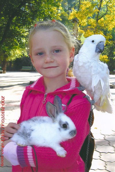 Екатерина Иванова