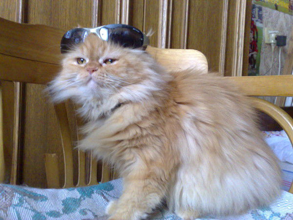 Сергей Зайков