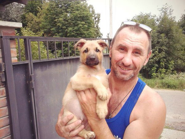 Владимир Майборода