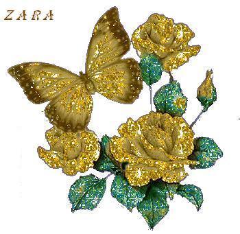 Zara ********