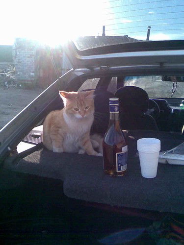 Антон Соломенников