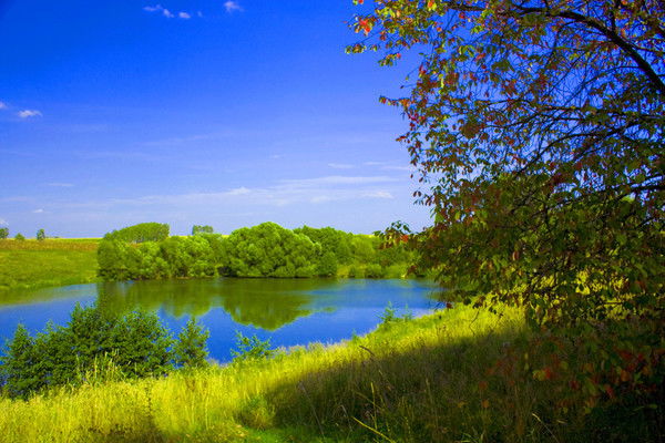 Вероника З.