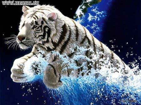 Вера Терёхина