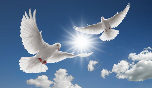 Нелля Попаз