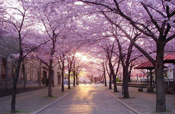 Мария Карепина