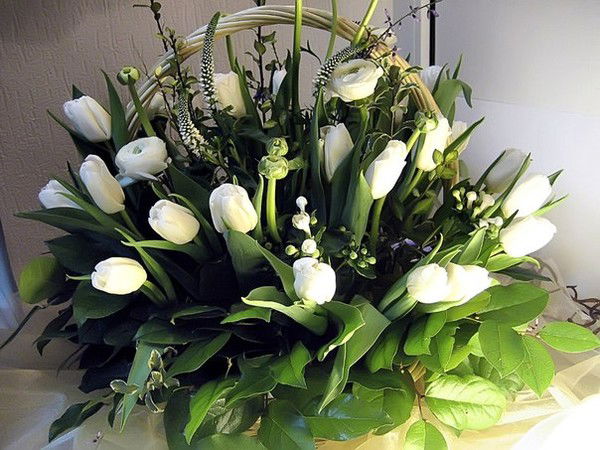 Алия Курбантаева