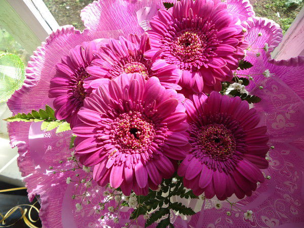 Альфия Ануровна Арсланбаева (Зайнуллина)