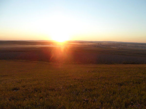 Елена Полетаева