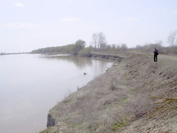 Магомед Гаджиев