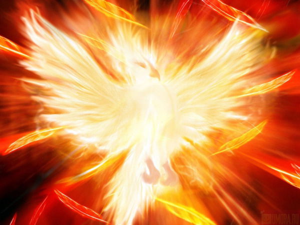 Константин Сон