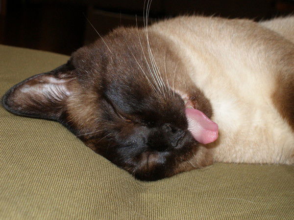 Евгений Епифанов