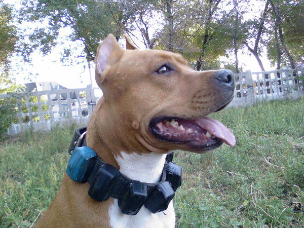 Виктория Ларина