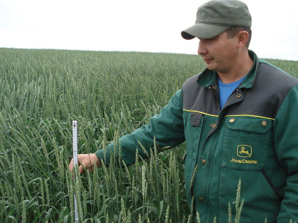 Даулет Шайхединов