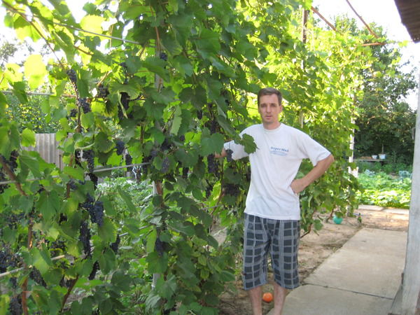 Андрей Растопшин