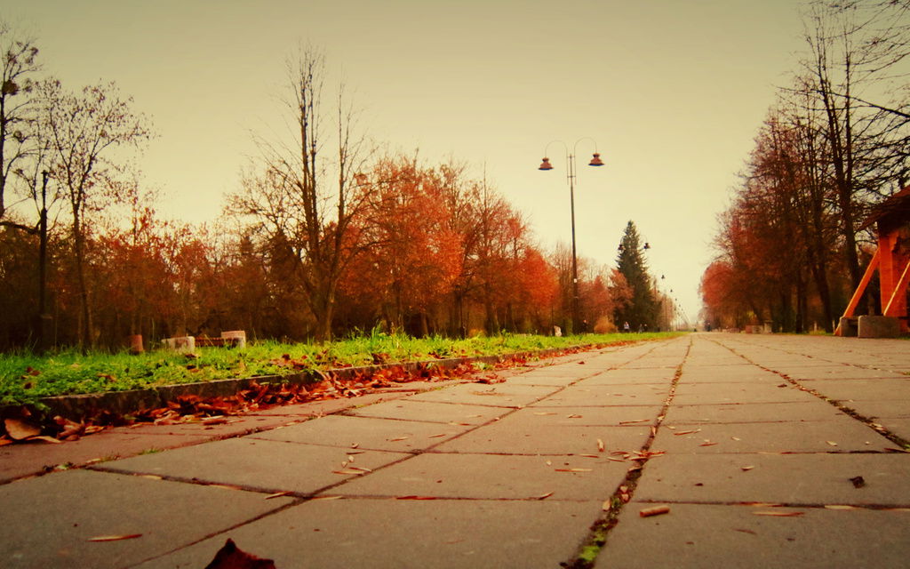 Дмитрий Поштаренко