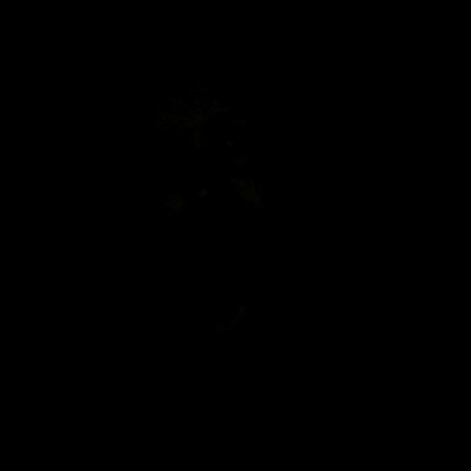 Алёна Руденко