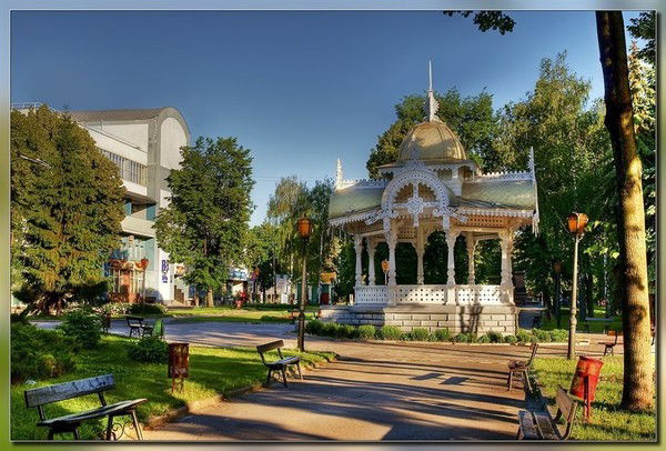 Светлана Царенюк