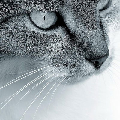 Валерия Малова