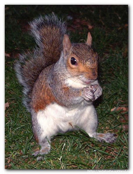 Олеся Кнотько