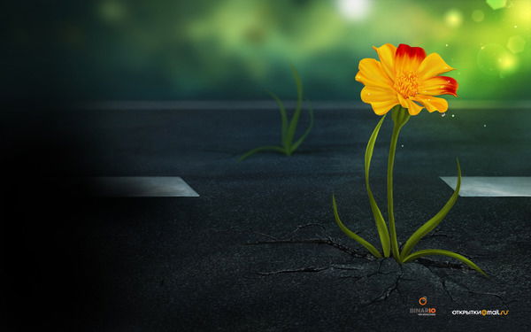 Екатерина Вышутина