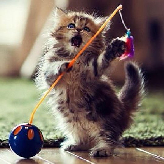 Александровна (ړײ)